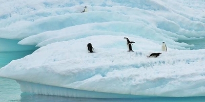 Antarctica Didn't Reach Record High Temps - the Media Lied